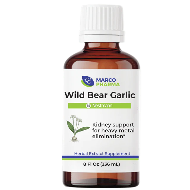 Wild Bear Garlic - Liquid Herbal Extract